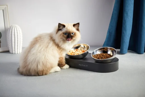 PETKIT FRESH NANO- 15° Adjustable Feeding Metal Dual Bowl - Image 3
