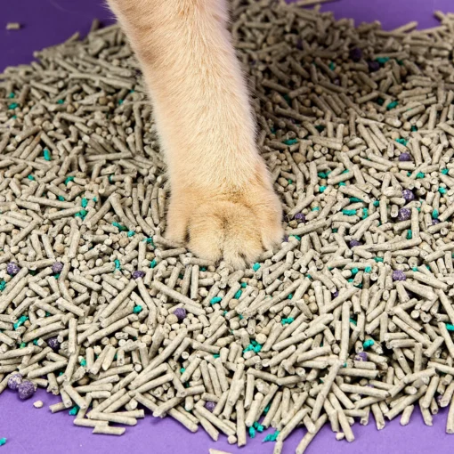 PETKIT 5-In-1 Active Carbon Mixed Tofu Litter – 7L - Image 8