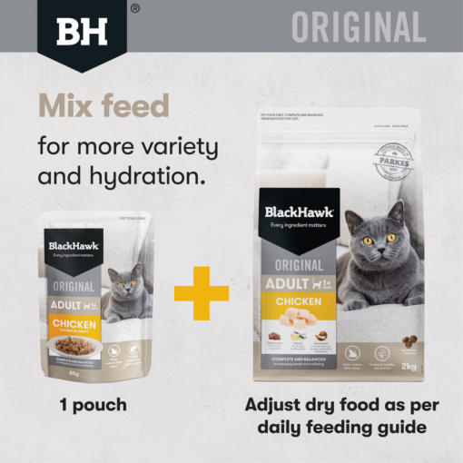 BLACK HAWK Dry Cat Food Adult Chicken And Rice - Image 9