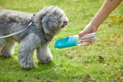 PETKIT EVERSWEET Travel Water Bottle 400ml – Blue - Image 2
