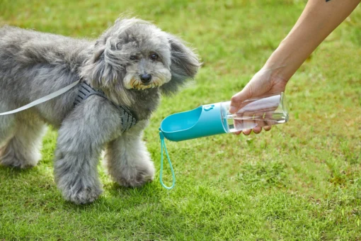 PETKIT EVERSWEET Travel Water Bottle 400ml – Blue - Image 3