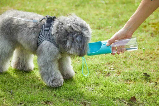 PETKIT EVERSWEET Travel Water Bottle 400ml – Blue - Image 5