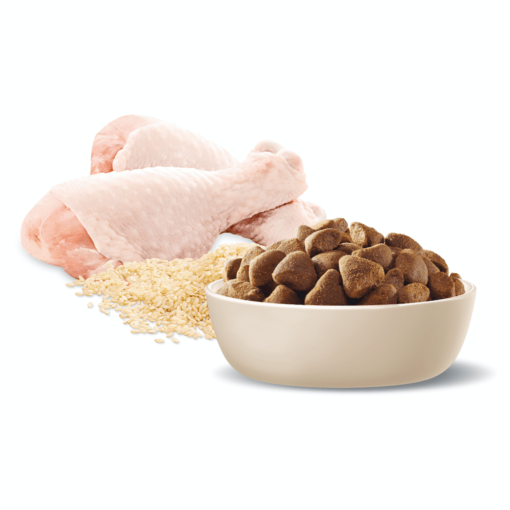 ADVANCE Large Adult Dry Dog Food Chicken With Rice - Image 6