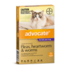 ADVOCATE Large Cat Purple