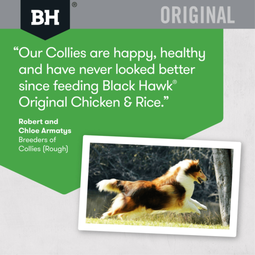 BLACK HAWK Dry Dog Food Adult Chicken And Rice - Image 9