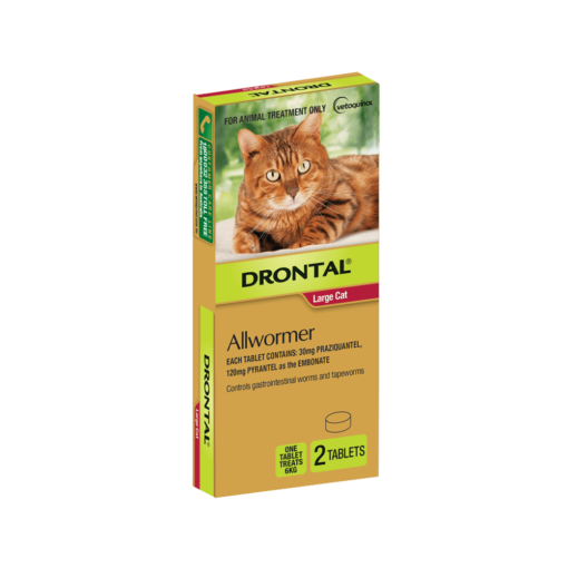 Drontal Allwormer For Large Cats