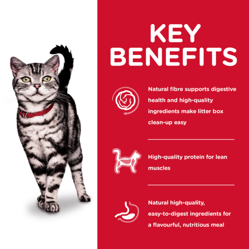 HILLS SCIENCE DIET Adult Indoor Dry Cat Food - Image 3