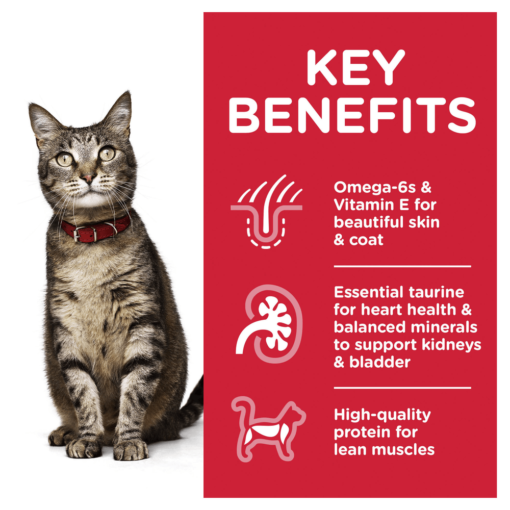 HILLS SCIENCE DIET Adult Ocean Fish Cat Food Pouches - Image 4