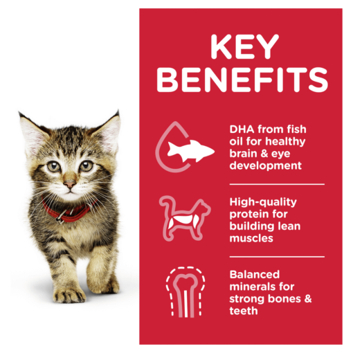 HILLS SCIENCE DIET Kitten Chicken Cat Food Pouches - Image 4