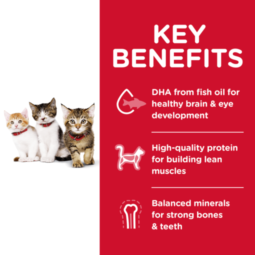 HILLS SCIENCE DIET Kitten Dry Cat Food - Image 3