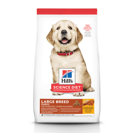 HILLS SCIENCE DIET Puppy Large Breed Dry Dog Food -12kg