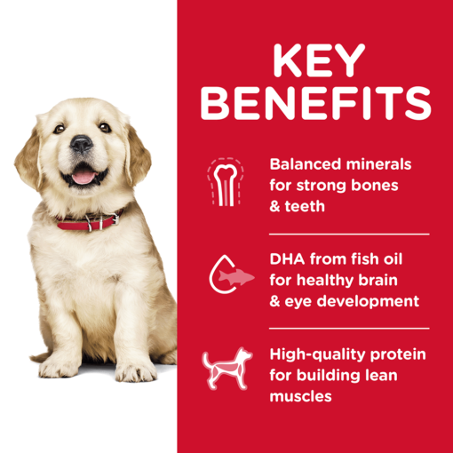 HILLS SCIENCE DIET Puppy Large Breed Dry Dog Food -12kg - Image 3