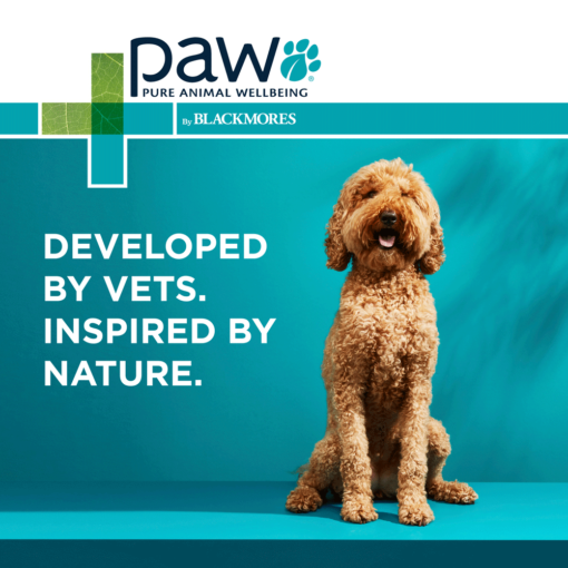 PAW BLACKMORES Digesticare - Image 7