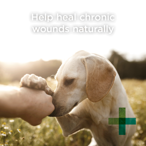 PAW BLACKMORES Manuka Wound Gel - Image 7