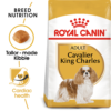 ROYAL CANIN Cavalier King Charles Adult Dry Dog Food