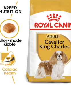 ROYAL CANIN Cavalier King Charles Adult Dry Dog Food