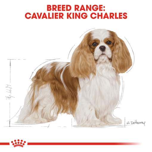 ROYAL CANIN Cavalier King Charles Adult Dry Dog Food - Image 2
