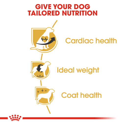 ROYAL CANIN Cavalier King Charles Adult Dry Dog Food - Image 4
