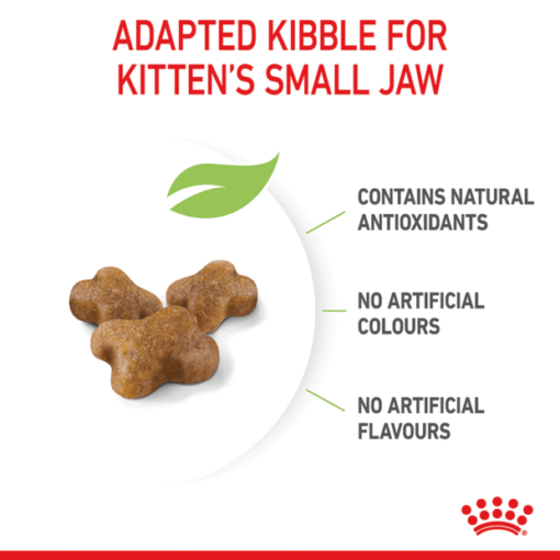 ROYAL CANIN Mother And Baby Dry Cat Food - Image 4