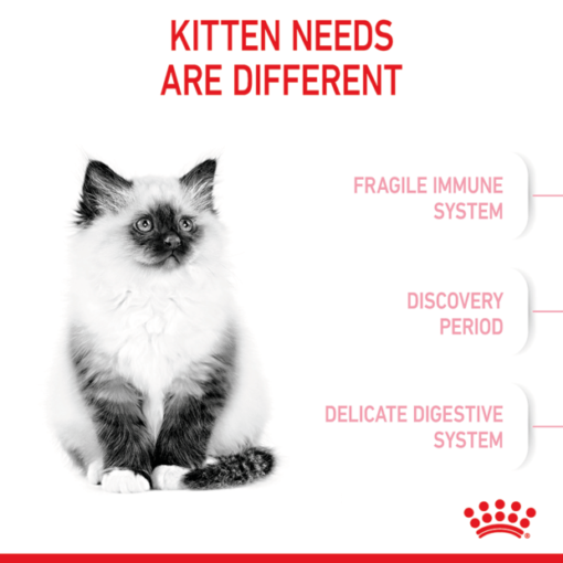 ROYAL CANIN Mother And Baby Dry Cat Food - Image 5