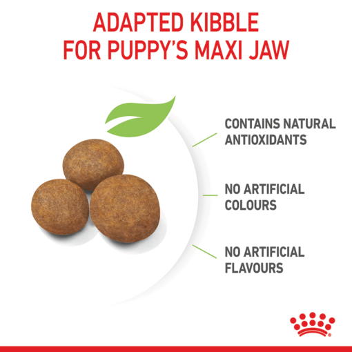 ROYAL CANIN Maxi Puppy Dry Dog Food - Image 2
