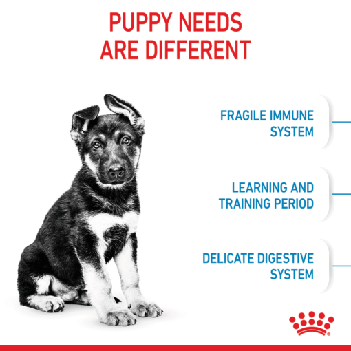 ROYAL CANIN Maxi Puppy Dry Dog Food - Image 6