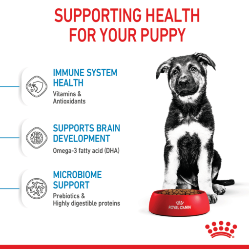 ROYAL CANIN Maxi Puppy Dry Dog Food - Image 7