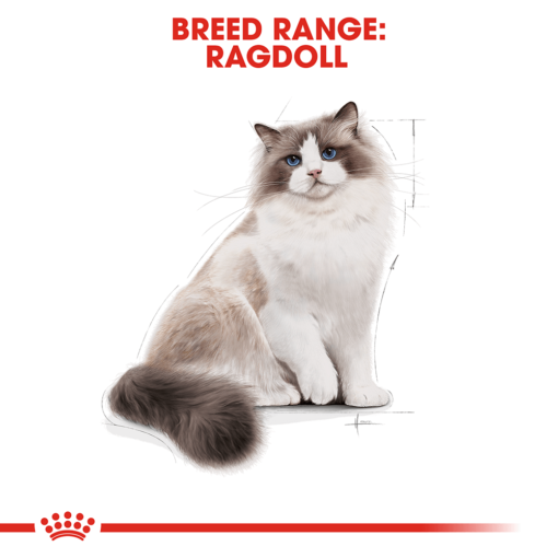 ROYAL CANIN Ragdoll Adult Dry Food - Image 3