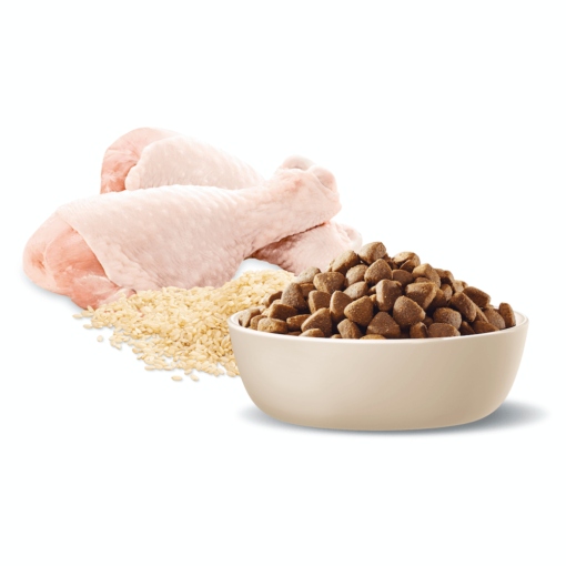 ADVANCE Medium Adult Dry Dog Food Chicken With Rice - 15kg - Image 7