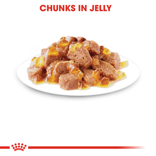 ROYAL CANIN Adult Instinctive Jelly Wet Cat Food Pouches - Image 3