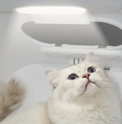 PETKIT AIRSALON MAX Smart Pet Dryer Box - Image 3