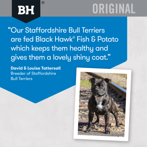 BLACK HAWK Dry Dog Food Adult Fish And Potato - Image 9