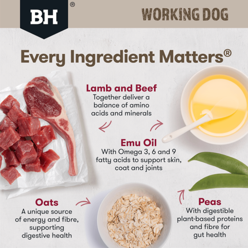 BLACK HAWK Dry Dog Food Adult Working Dog Lamb And Beef - Image 4
