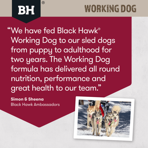 BLACK HAWK Dry Dog Food Adult Working Dog Lamb And Beef - Image 6