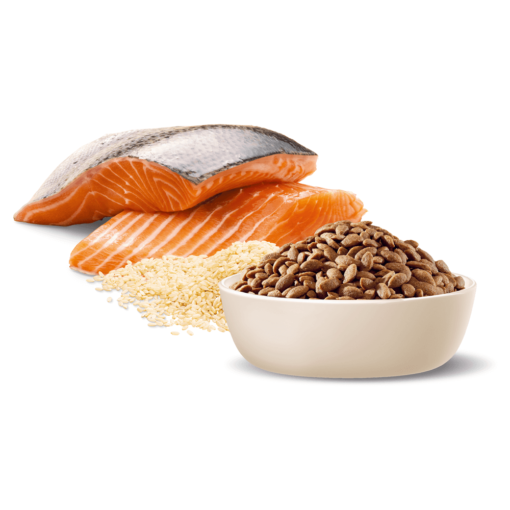 ADVANCE Adult Small Oodles Dry Dog Food - Image 3